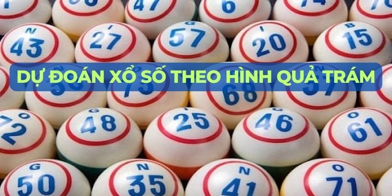 Dự đoán kết quả xổ số theo phương pháp lô rơi từ đề